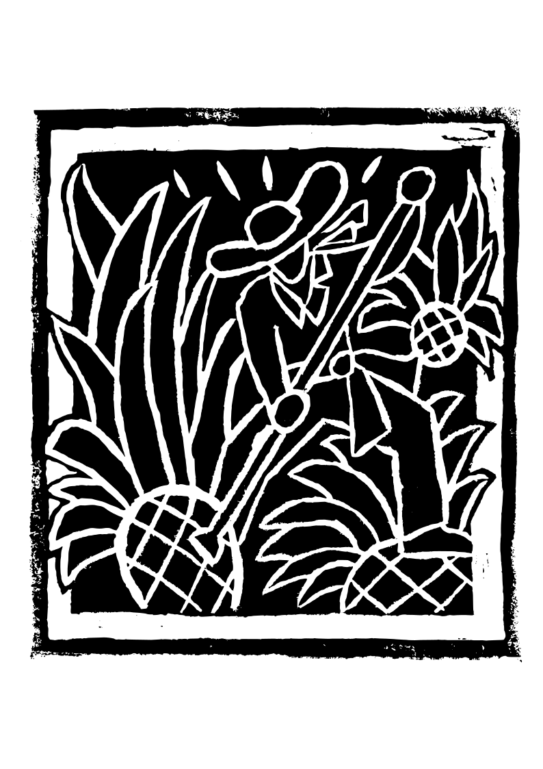 Agaveros